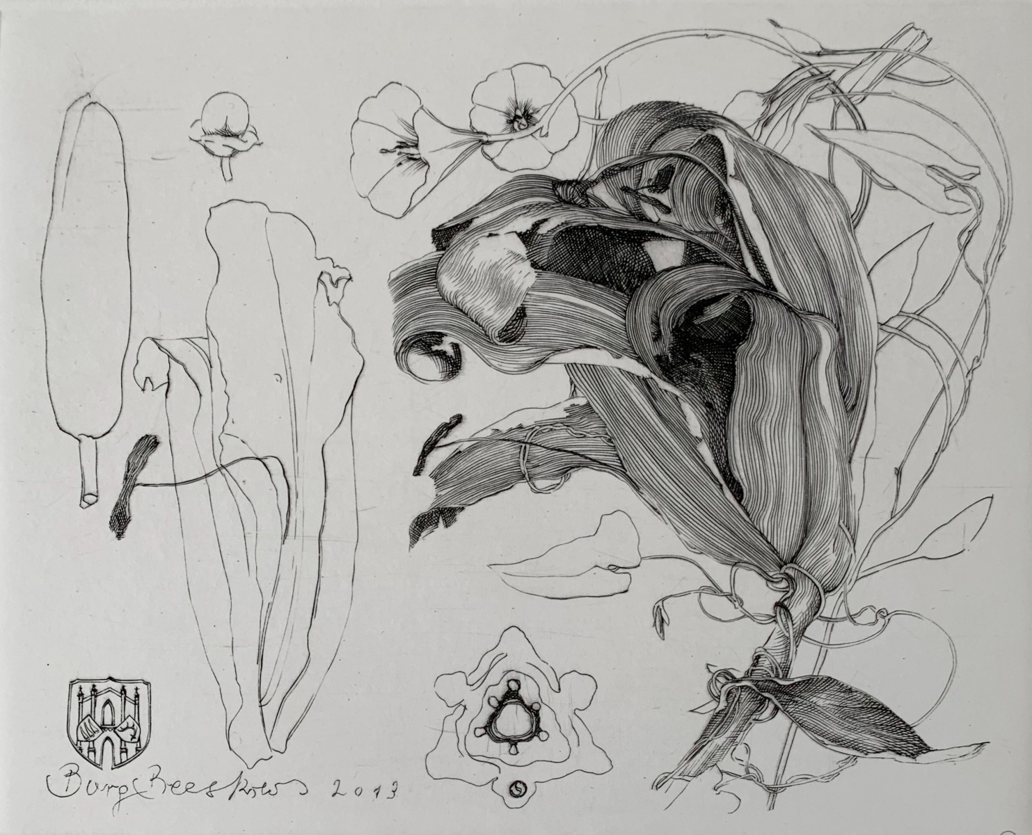 Krzysztof Skórczewski Galeria Sztuki Katarzyny Napiórkowskiej (14)